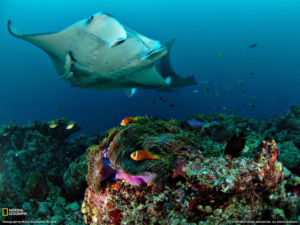 Equa Reef Maldives Hotell Addu City Exteriör bild