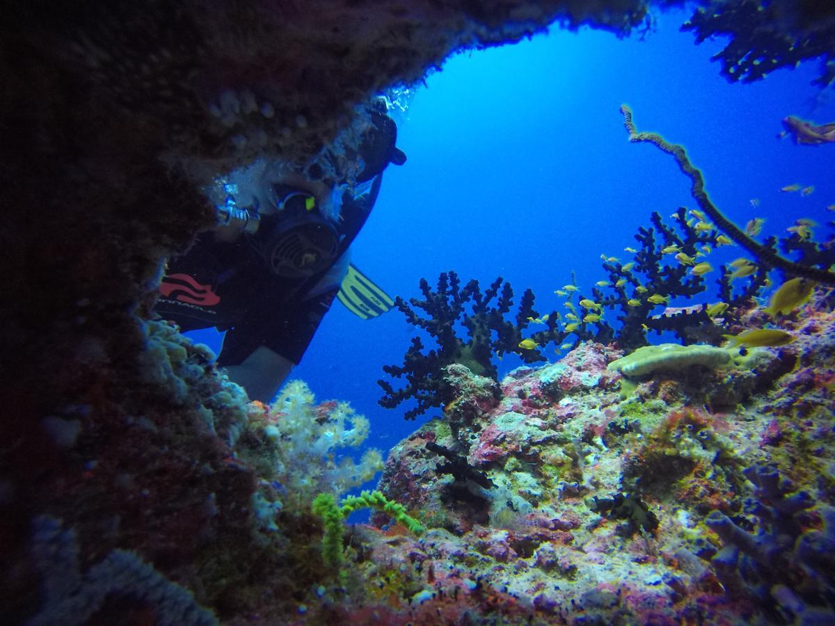 Equa Reef Maldives Hotell Addu City Exteriör bild