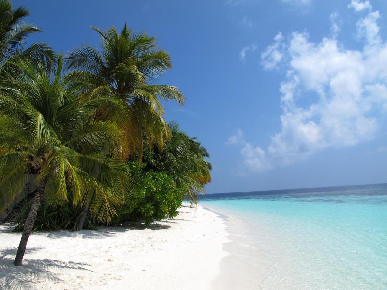Equa Reef Maldives Hotell Addu City Exteriör bild